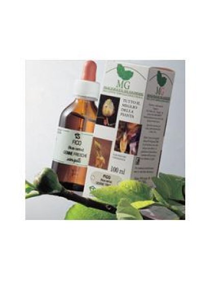 ROSA CANINA 100ML MG ROSA CANINA 100ML MG