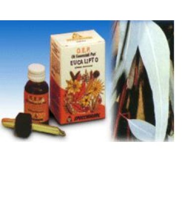 EUCALIPTO OLIO ESS 10ML SPECCH