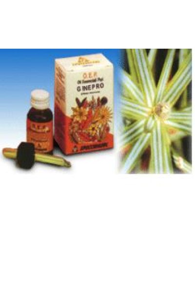 GINEPRO OLIO ESS 10ML SPECCH GINEPRO OLIO ESS 10ML SPECCH