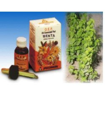 MENTA OLIO 10ML SPECCH