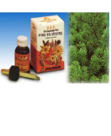 PINO SILVESTRE OLIO 10ML SPECCH