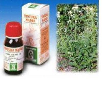 ACHILLEA 51 50ML TM SPECCH