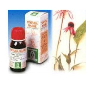ECHINACEA 59 50ML TM SPECCH