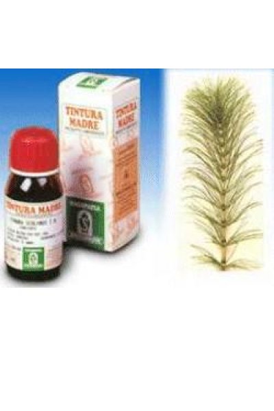 EQUISETO 12 50ML TM SPECCH EQUISETO 12 50ML TM SPECCH