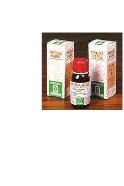 ERISIMO 61 50ML TM SPECCH ERISIMO 61 50ML TM SPECCH