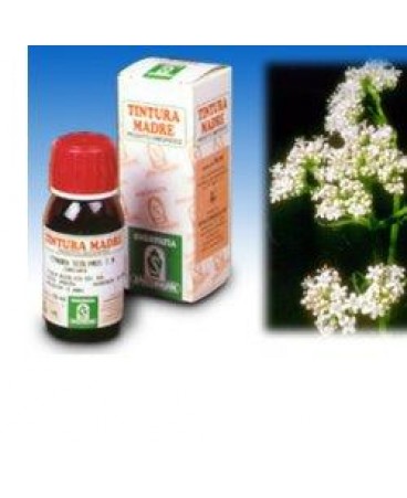 VALERIANA 36 50ML TM SPECCH