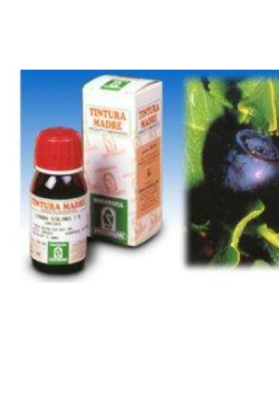 MIRTILLO 31 50ML TM SPECCH MIRTILLO 31 50ML TM SPECCH