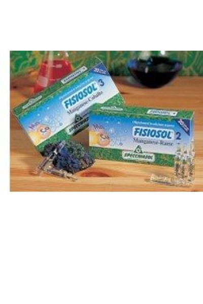 FISIOSOL 12 FOSFORO 20F 2ML FISIOSOL 12 FOSFORO 20F 2ML