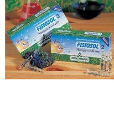 FISIOSOL 14 POTASSIO 20F 2ML FISIOSOL 14 POTASSIO 20F 2ML