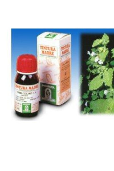 MELISSA 17 50ML TM SPECCH MELISSA 17 50ML TM SPECCH