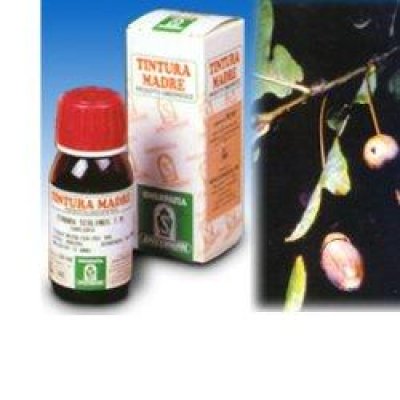 QUERCIA MARINA TINT MADRE 14