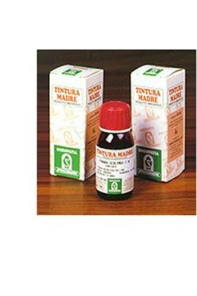 PILOSELLA 20 50ML TM SPECCH PILOSELLA 20 50ML TM SPECCH