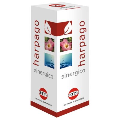 HARPAGO SINERGICO GTT 100ML HARPAGO SINERGICO GTT 100ML