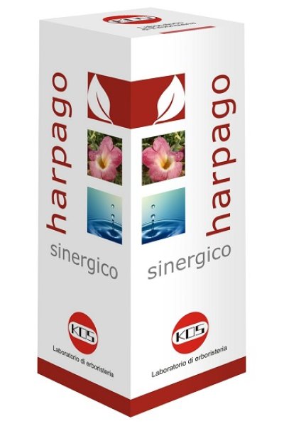 HARPAGO SINERGICO GTT 100ML HARPAGO SINERGICO GTT 100ML