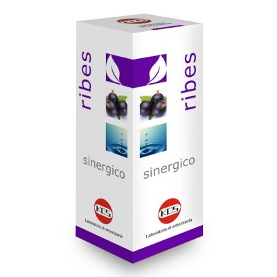 RIBES SINERGICO GTT 100ML KOS