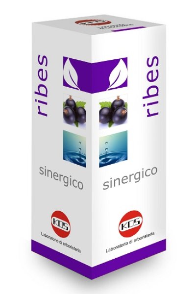 RIBES SINERGICO GTT 100ML KOS RIBES SINERGICO GTT 100ML KOS