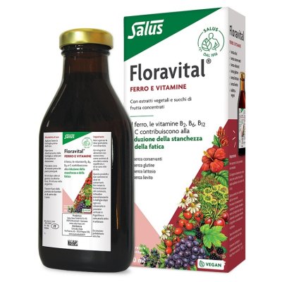 FLORAVITAL-FERRO S/GLUT 250ML FLORAVITAL-FERRO S/GLUT 250ML