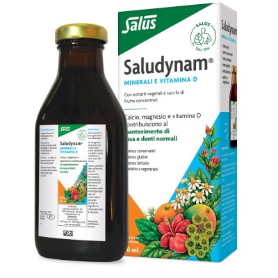 SALUDYNAM-CONC 250ML SALUDYNAM-CONC 250ML