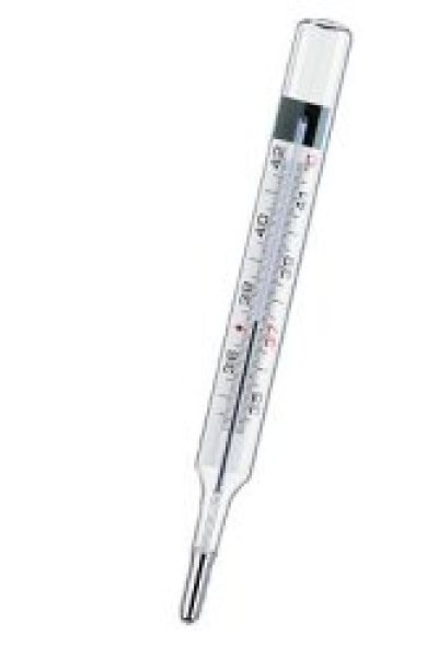 TERMOMETRO CLINICO ECOL 1PZ TERMOMETRO CLINICO ECOL 1PZ