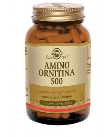 AMINO ORNITINA 500 50CPS SOLGAR