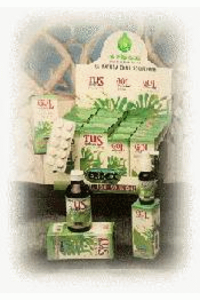 EQUISETO 100CPS 380MG ERBEX EQUISETO 100CPS 380MG ERBEX