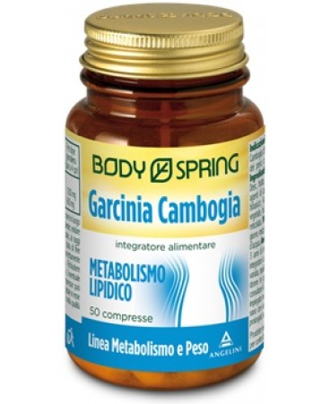 BS GARCINIA CAMB 50CPR BSP