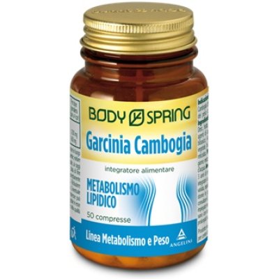 BS GARCINIA CAMB 50CPR BSP BS GARCINIA CAMB 50CPR BSP