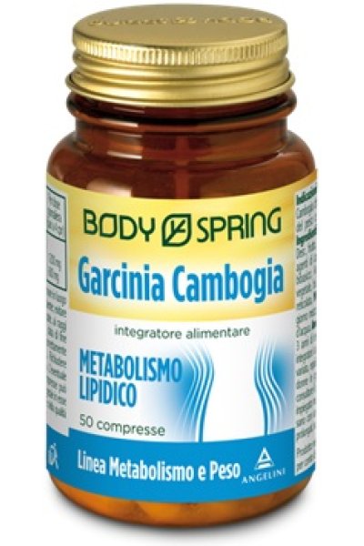 BS GARCINIA CAMB 50CPR BSP BS GARCINIA CAMB 50CPR BSP