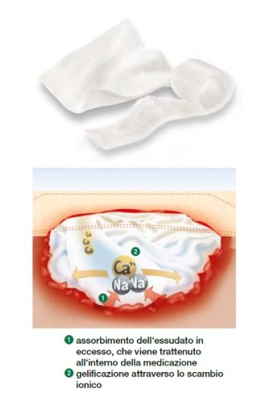 GARZE SUPRASORB ALG 5X5X10PZ GARZE SUPRASORB ALG 5X5X10PZ