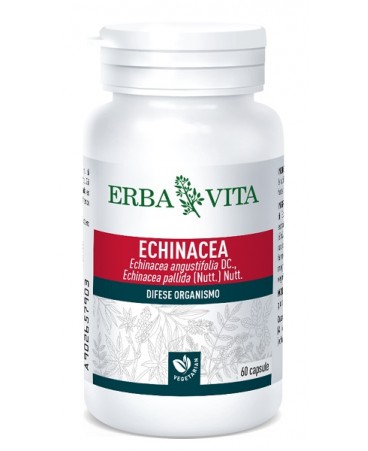 ECHINACEA 60CPS 500MG EBV