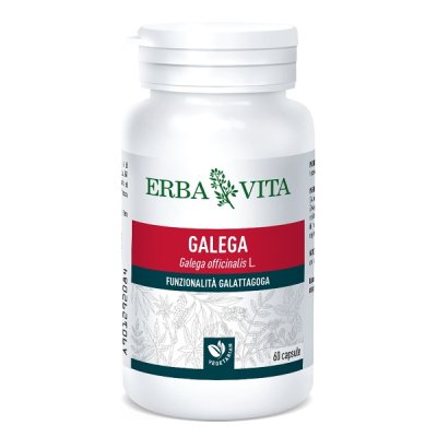 GALEGA 60CPS 350MG ERBAVITA