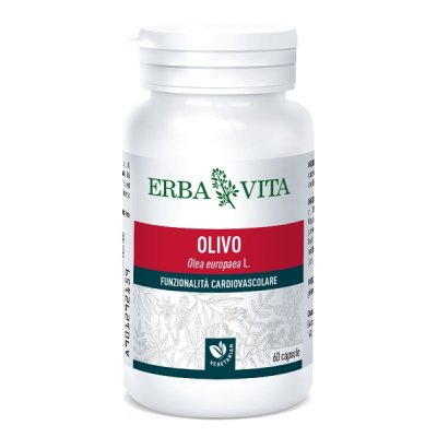 OLIVO 60CPS EBV