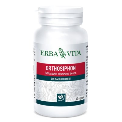 ORTOSIPHON 60CPS 400MG EBV ORTOSIPHON 60CPS 400MG EBV