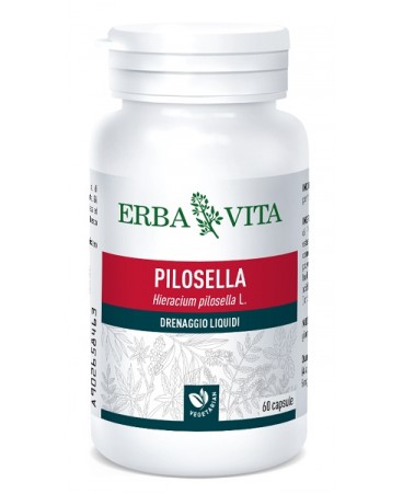 PILOSELLA 60CPS 400MG EBV