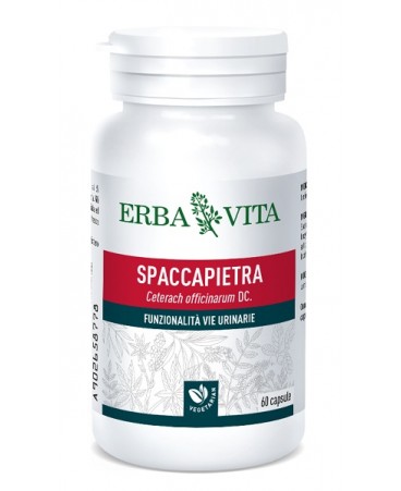 ERBA VITA spaccapietra 60 capsule 300 mg