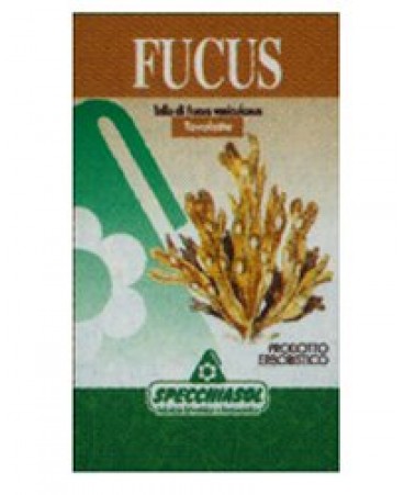 FUCUS ERBE 150TAV SPECCH