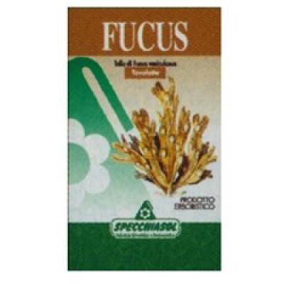FUCUS ERBE 150TAV SPECCH FUCUS ERBE 150TAV SPECCH