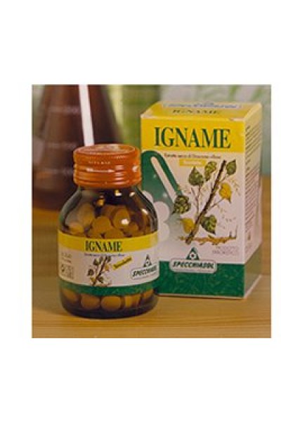 IGNAME ERBE 60TAV SPECCH IGNAME ERBE 60TAV SPECCH