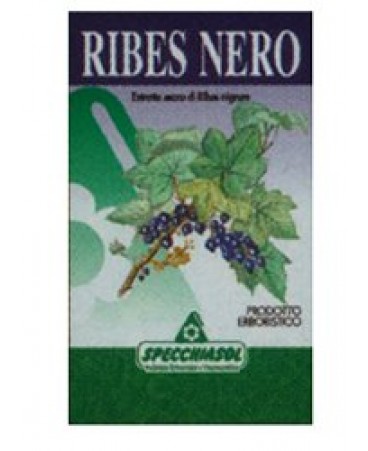 RIBES NERO ERBE 75CPS SPECCH