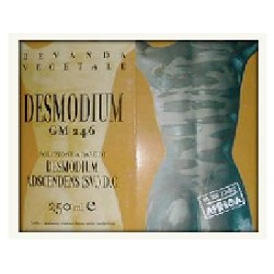 DESMODIUM GM246 250ML GTT ETNOPH DESMODIUM GM246 250ML GTT ETNOPH