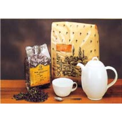 ARTEMISIA VOLG SOMM TT100G SOLIM ARTEMISIA VOLG SOMM TT100G SOLIM