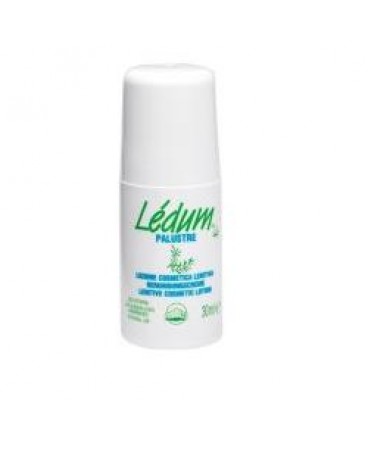 LEDUM ROLL-ON LENIT 30ML