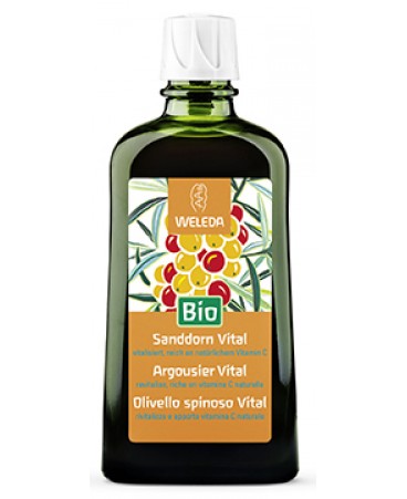 OLIVELLO SPINOSO VITAL SCIR WE