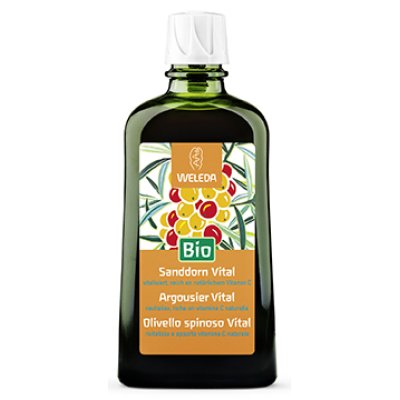 OLIVELLO SPINOSO VITAL SCIR WE