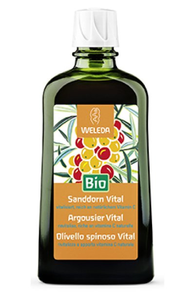 OLIVELLO SPINOSO VITAL SCIR WE OLIVELLO SPINOSO VITAL SCIR WE