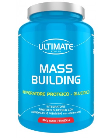 ULTIMATE MASS BUILDING VAN 1,8