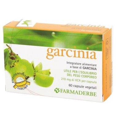 GARCINIA 60CPS 34,2G FDR