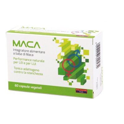 MACA SPORT 60CPS VITAL MACA SPORT 60CPS VITAL