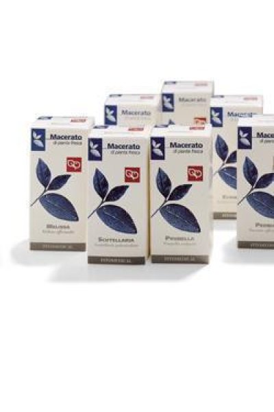 UVA URSINA 50ML TM FTM UVA URSINA 50ML TM FTM