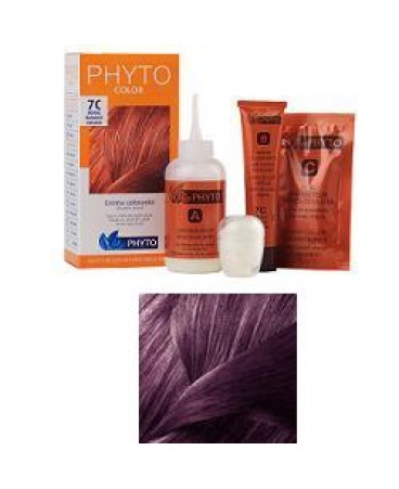 PHYTO PHYTOCOLOR 4V CAST VI IN